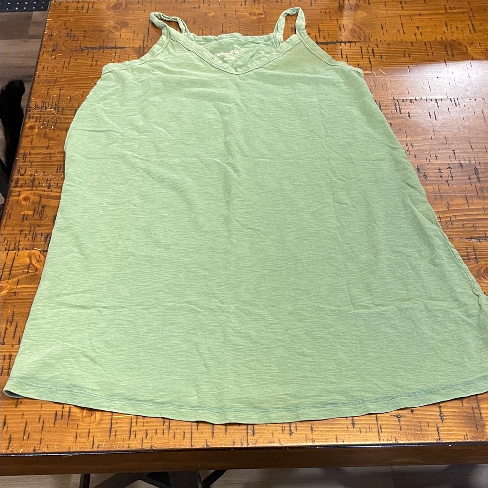 Universal Thread Light Green Midi Dress